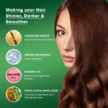 Actium_Plus_PROCALP_Activ_Color_3.0_Brown_Back_Side